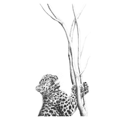 Out of Reach (Amur Leopard)