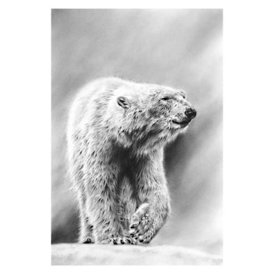 Artic Wanderer (Polar Bear)