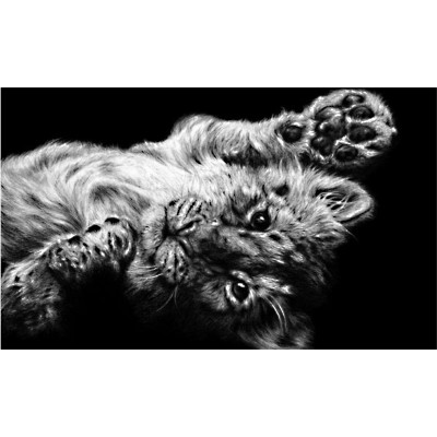 High Five