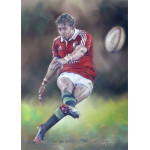 Leigh Halfpenny - Lions 2013