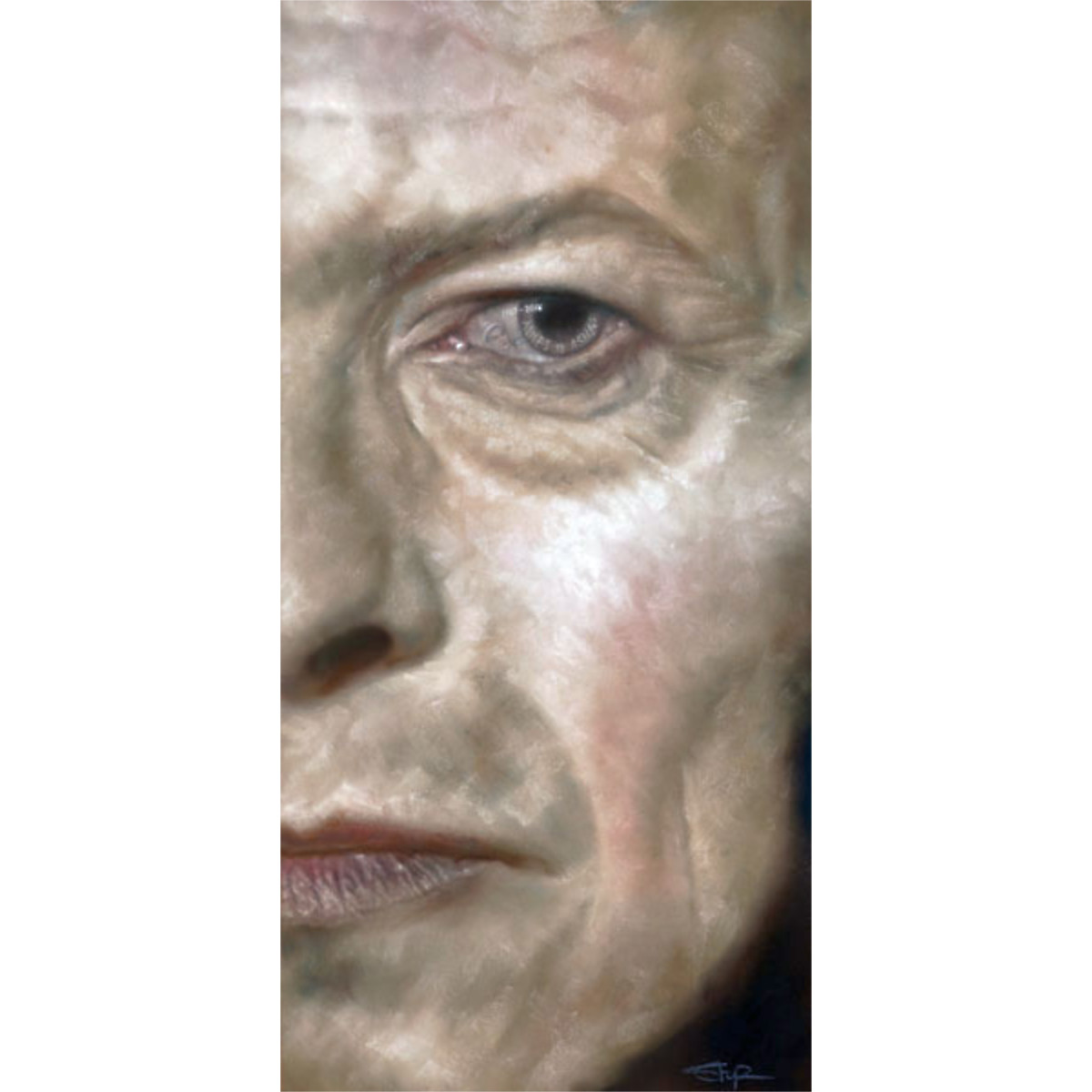 David Bowie - Stephen Doig