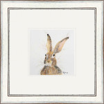 Pop Up (Hare)