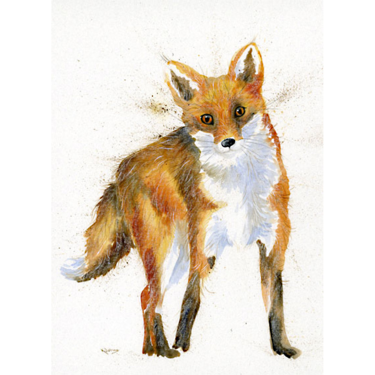 Sly Guy (Fox)