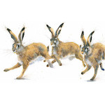 Playmates (Hares) - LGE