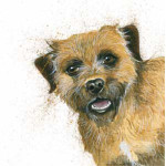 Buster (Border Terrier)