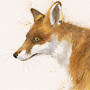 Don't Look Back (Fox)