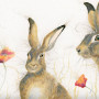 Field of Dreams (Hares)