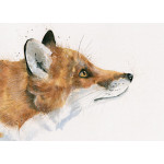 A Cunning Plan (Fox)