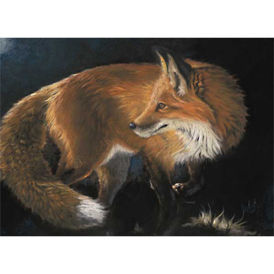 Sly By Night (LGE) - Kay Johns