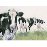 Cheeky Girls (Dairy Cows)