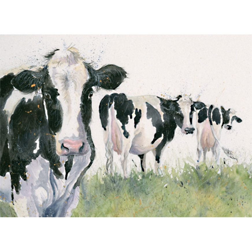 Cheeky Girls (Dairy Cows)