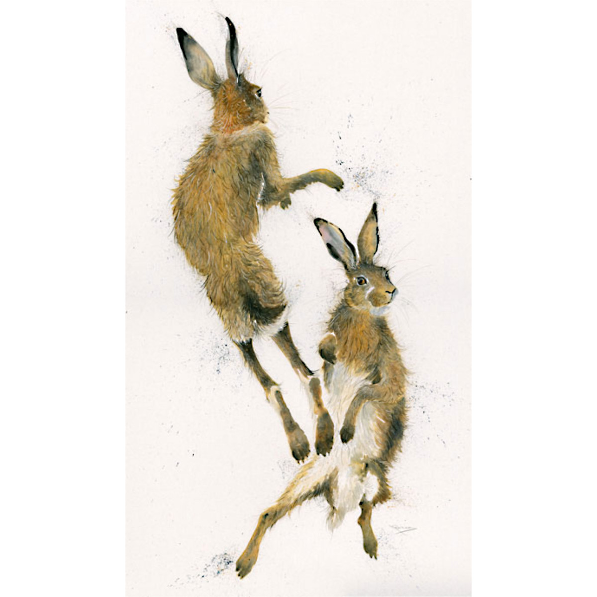 Challenger (Hares) - SML