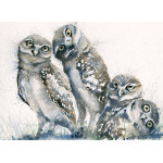 A Family Portrait (Owls)