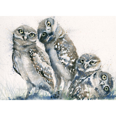 A Family Portrait (Owls)