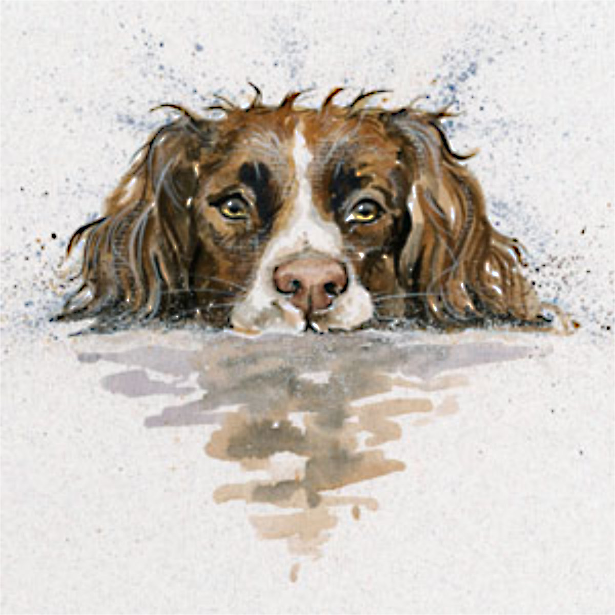Scooby (Springer)