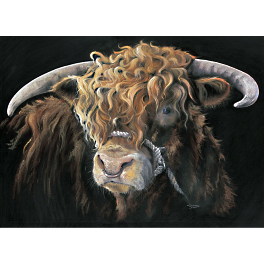 Big Mac (Highland Bull) Large
