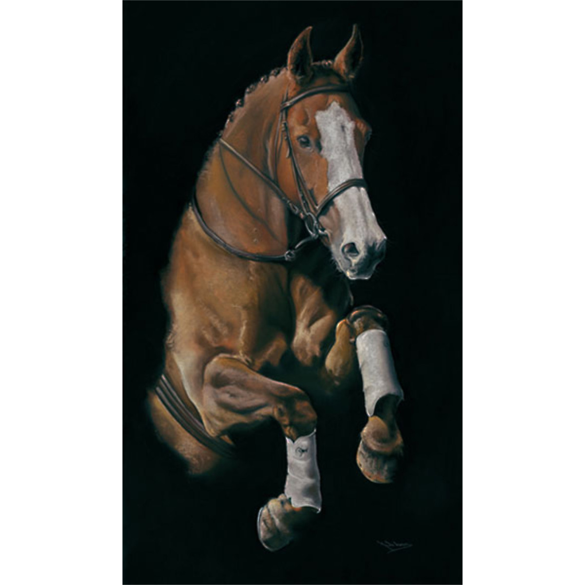 Leap of Faith (Horse)