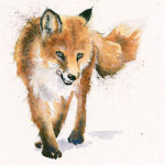 Lady Luck (Fox)