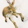 Flippin Mental (Hare) - LGE