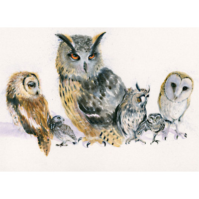 Holding Parliament (Owls) - LGE