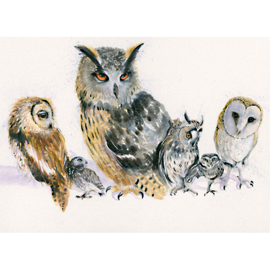 Holding Parliament (Owls) - SML