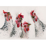 Chick Chat (Chickens) - SML