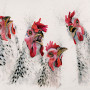Chick Chat (Chickens) - LGE