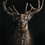 Stag Night - Canvas Board (Deluxe)