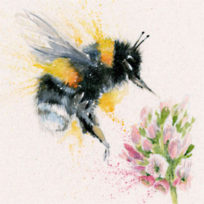 Busy Bee