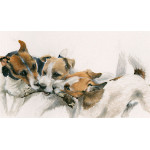 The Rat Pack (Jack Russell Terriers)