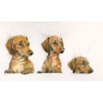 Sausages (Dachsunds) - SML