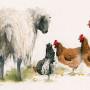 A Quiet Word (Donkeys)