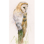 Post Office (Owl)