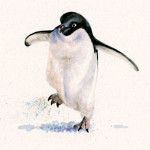 Cold Feet