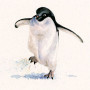 Cold Feet