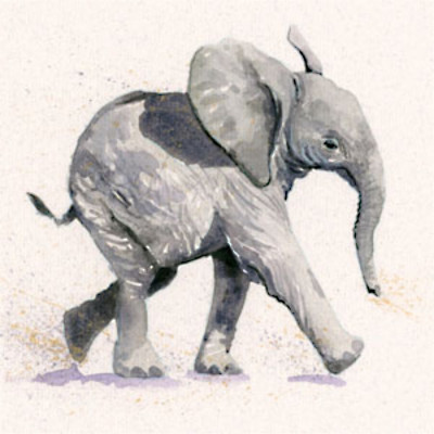 Nelly (Elephant)