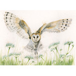 A Wing And A Prayer (Barn Owl) - LGE