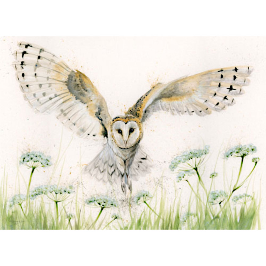 A Wing And A Prayer (Barn Owl) - LGE