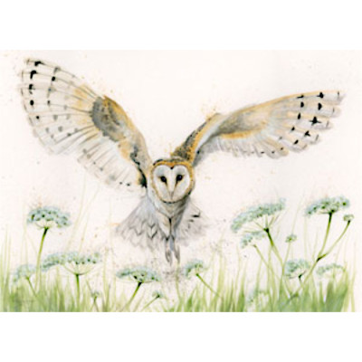 A Wing And A Prayer (Barn Owl) - SML