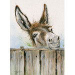 The Meeting Place (Donkey)