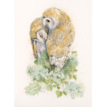Owl Always Love You (Owls)