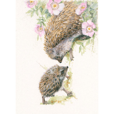 A Helping Hand (Hedgehogs)