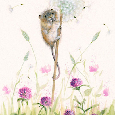Lionheart (Dormouse)