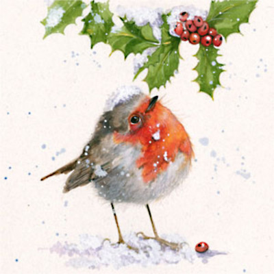 Snow Fall (Robin)
