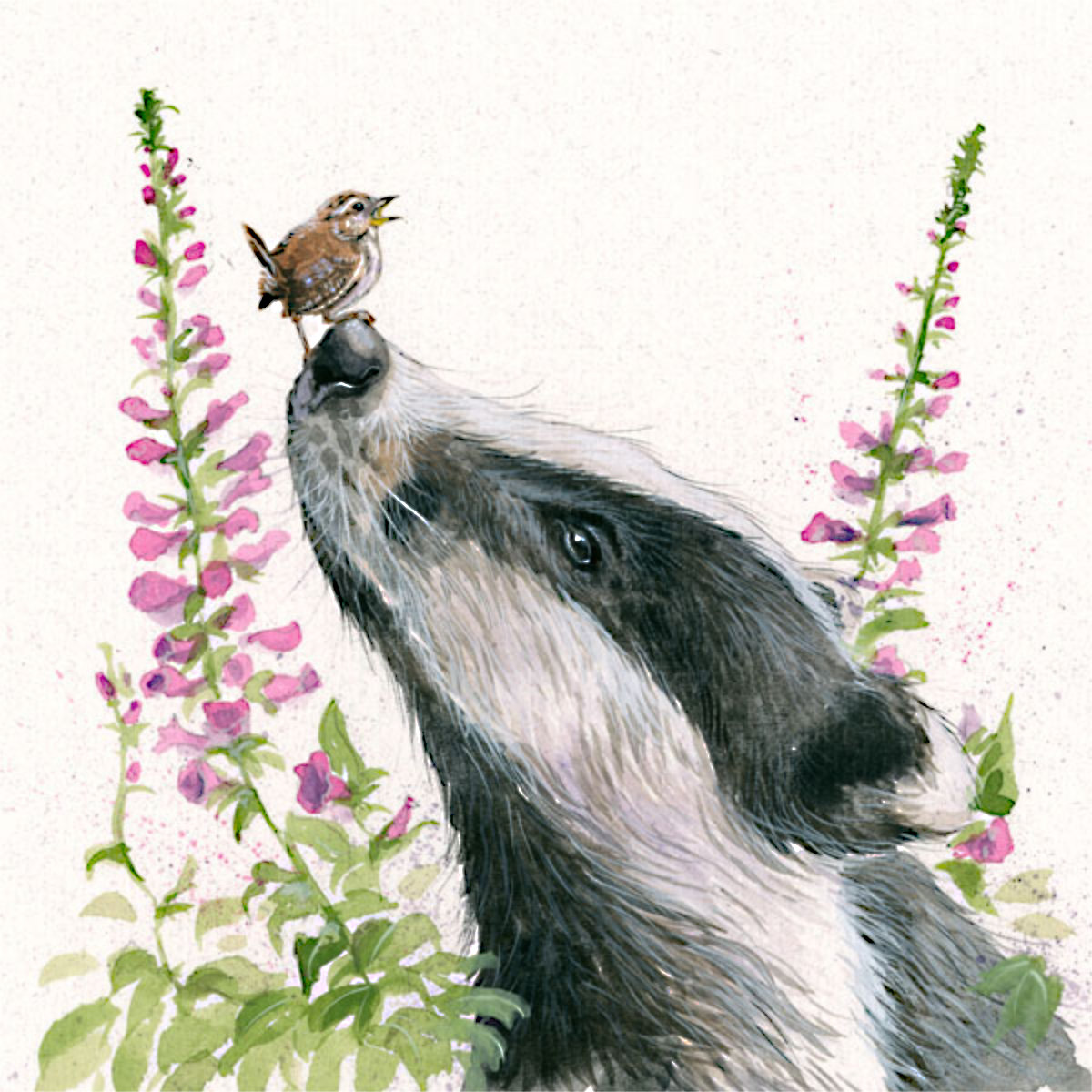 A LITTLE BIRD TOLD ME (BADGER)