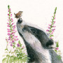 A LITTLE BIRD TOLD ME (BADGER)