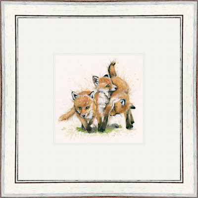 Ace of Cubs (Fox Cubs)