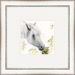 APPLE A DAY (HORSE)