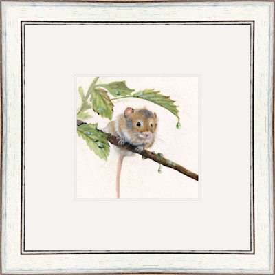 April Showers - Harvest Mouse