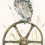 Bed and Breakfast (Owl)